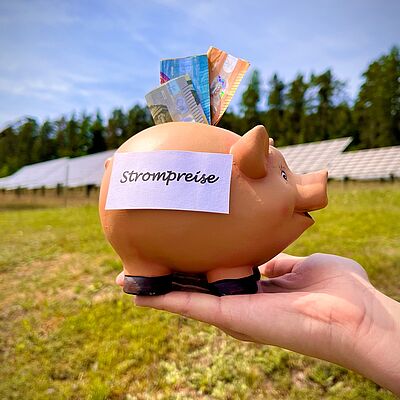 Braunes Sparschwein mit dem Schild 'Strompreise' und Geldscheinen steckt in der Öffnung, gehalten von einer Hand vor einer Solaranlage im Freien